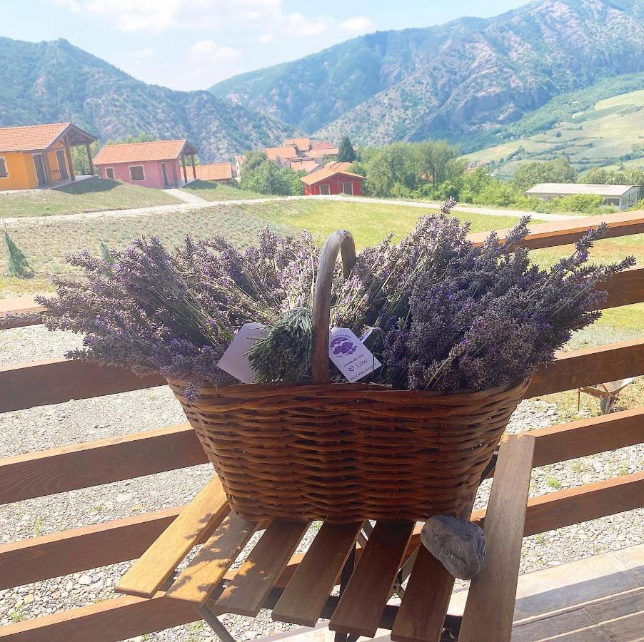 Azienda Agricola Saint Hubert Cantalupo Ligure Kültér fotó