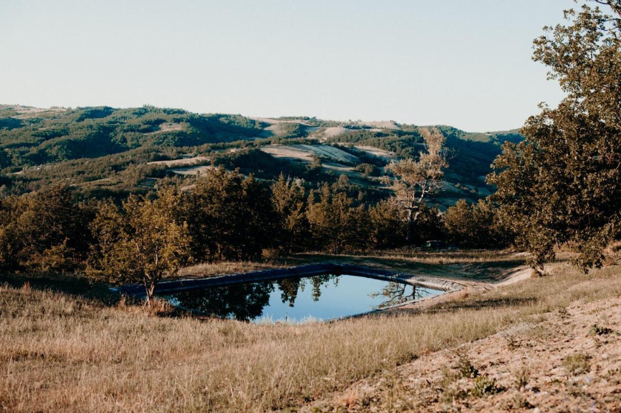 Azienda Agricola Saint Hubert Cantalupo Ligure Kültér fotó