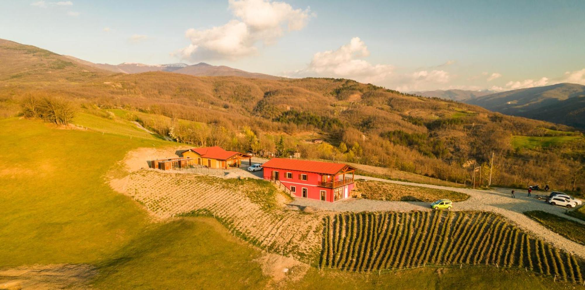 Azienda Agricola Saint Hubert Cantalupo Ligure Kültér fotó